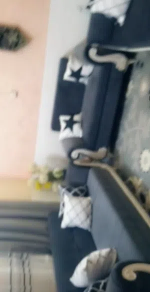 تخم رصاصي اخو جديد