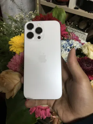 Apple iPhone 16 Pro Max 256 GB in Amman
