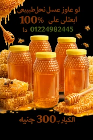 عسل نحل طبيعي 100%