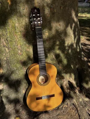 Alhambra  3 fg guitare flamenco avec sa housse et carte d’authenticité mic ,dispo les vergers.