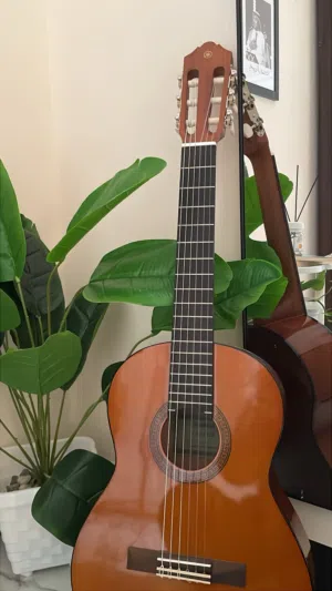 CGS102A guitar