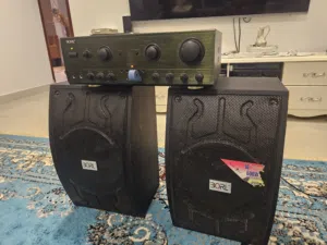 BORL SPEAKER 2 NOS WITH amplifier OMR 50