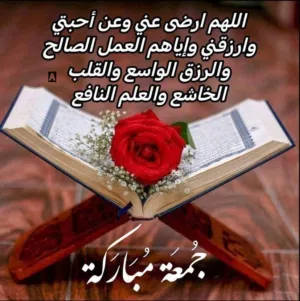 مشاركه سكن في غرفه عربي  مفروشه  وكبيبره مطلوب 2 فردين قطعه 9ش 25 بجوار فرن العيش