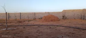 أرض للبيع بسعر مناسب