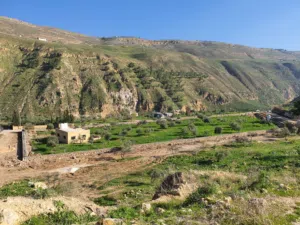 Farm Land for Sale in Salt Jala'd