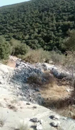 ارض بعجلون... مساحه 11 دونم ... اطلاله جميله على غابات