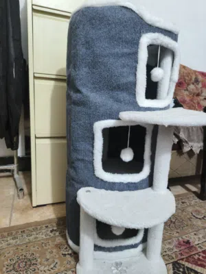 بيت قطط نظيف
