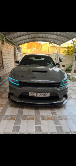 سكات باك 19 للبيع