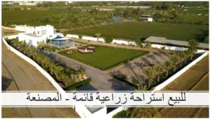 4 Bedrooms Farms for Sale in Al Batinah Al Masnaah