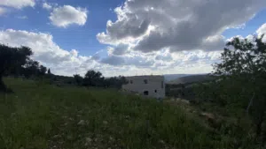 Mixed Use Land for Sale in Ramallah and Al-Bireh Kaubar