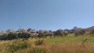 Residential Land for Sale in Amman Naour