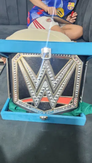 WWE WORLD HEVY Weight champion ship