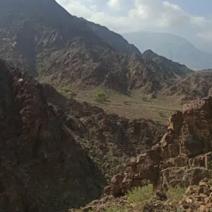هيثـم 