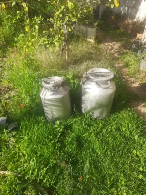سطل حليب مصنوع من الالمنيوم
