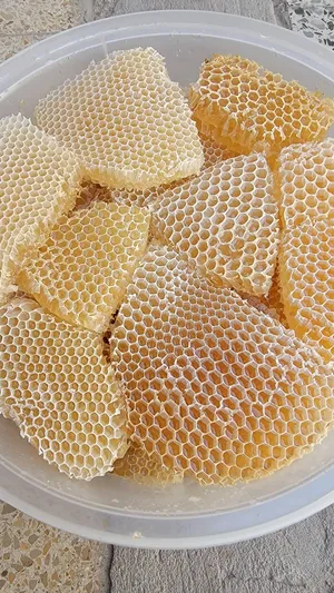 Honey4