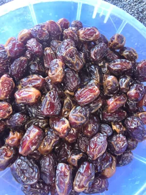 تمر فرض ومعان نظيف