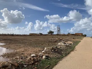 Mixed Use Land for Sale in Benghazi Sidi Khalifa