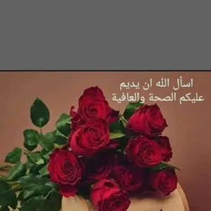 Jad mohammad 