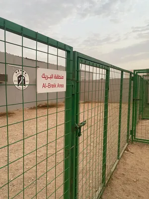 ‏طعام حيوانات ‏.‏ كلاب‏2
