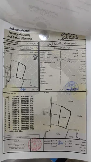 ارضين شبك زراعيه ومن الممكن تحويلها سكنيه في السويق الخضراء