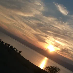 مندوبه مبيعات 