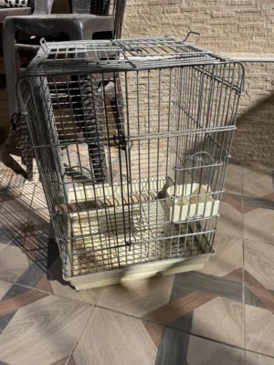 قفص كاسكو ثقيل