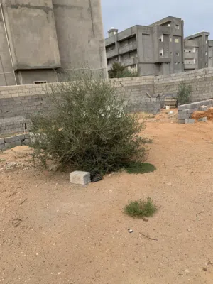 Residential Land for Sale in Tripoli Tajura