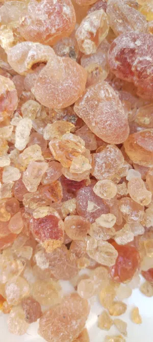 صمغ عربي هشاب