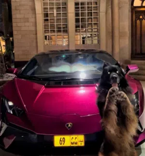 لاين 