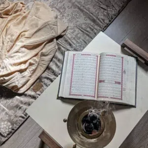المرغني عبدو 