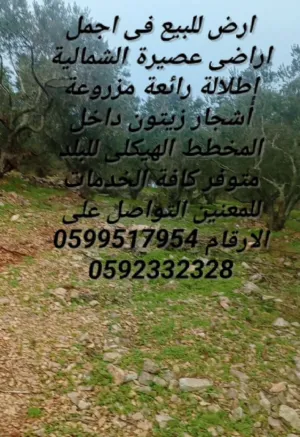 Mixed Use . 600 m2 . Landlord4