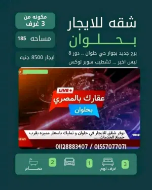 محمد المصري 