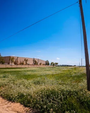ارض صناعي في القسطل