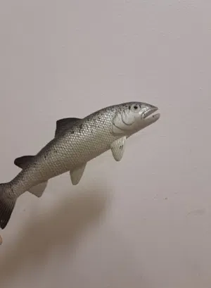 لعبة سمكة للاطفال