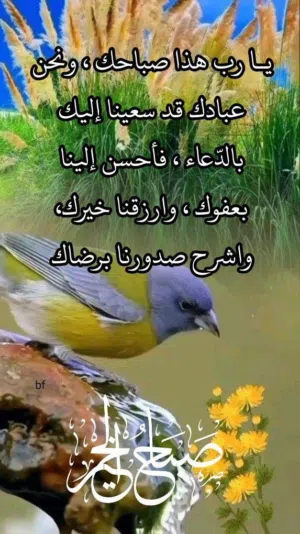 عبدالقادر شتية 