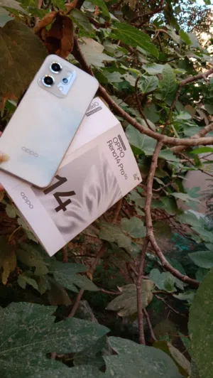 أوبو رينو 14 برو... لما تمسكه تحس إنك ماسك المستقبل!