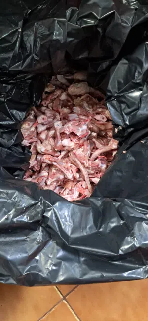 اكل كلاب (،هياكل وجوانح )