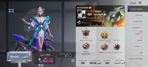 Pubg Accounts and Characters for Sale in Bani Walid