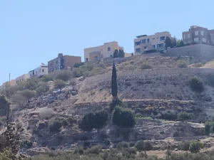 Farm Land for Sale in Salt Al Balqa'