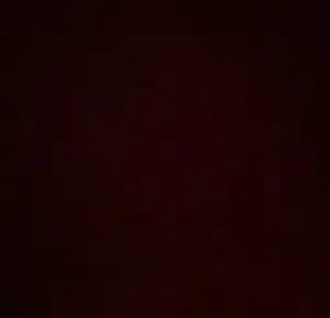 سيف الحسني