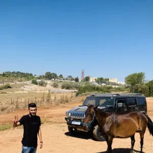 مهيمن التركي 