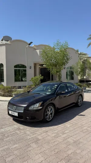 Used Nissan Maxima in Northern Governorate