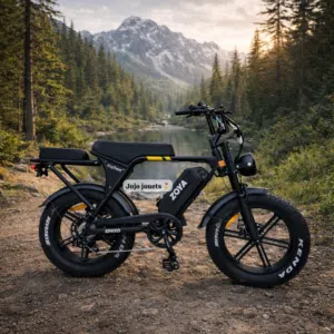 Vélo Électrique ZOYA PLUS 1000W