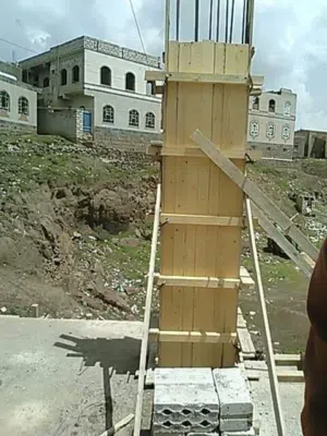 محمود محمد 