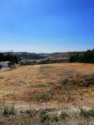 Residential Land for Sale in Amman Dabouq