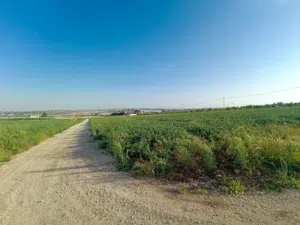 Residential Land for Sale in Amman Airport Road - Madaba Bridge