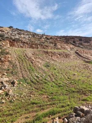 Mixed Use . 1100 m2 . Landlord0