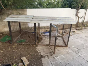 قفص حيوانات جديد كبير جداً مستعمل