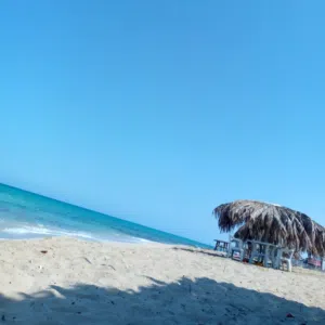 فرج 