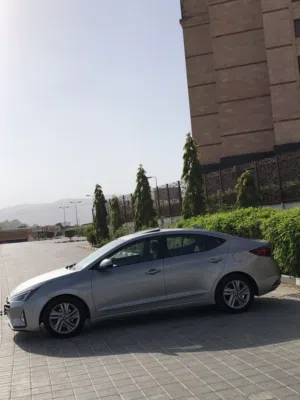Used Hyundai Elantra in Dhofar